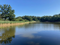 NP De Meinweg - Melickerven